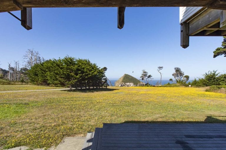 View of the ocean over field of yellow flowers in front of Hannah Madison room