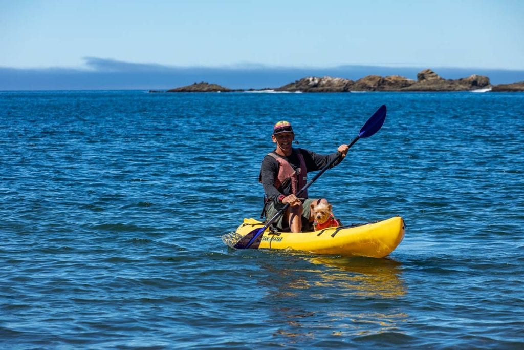 A dog and paddler on a kayak